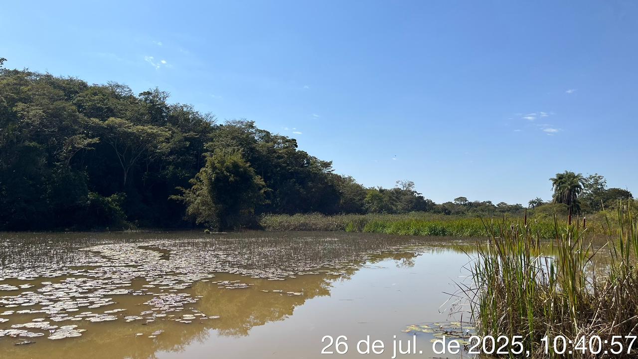 Serviço Ambiental 9